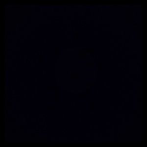 Meet your Posher, Reagan